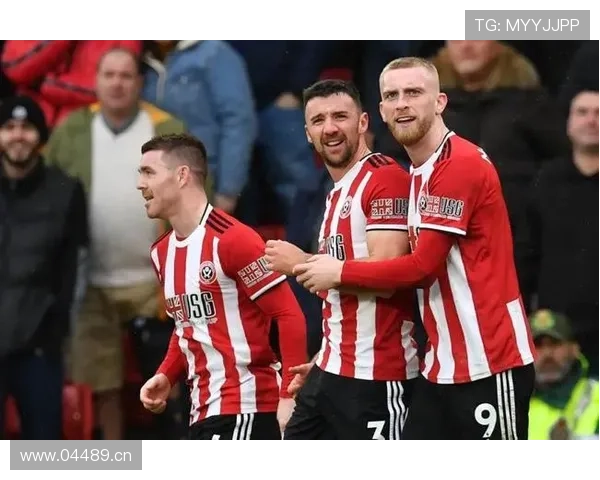 英超南约克郡谢联